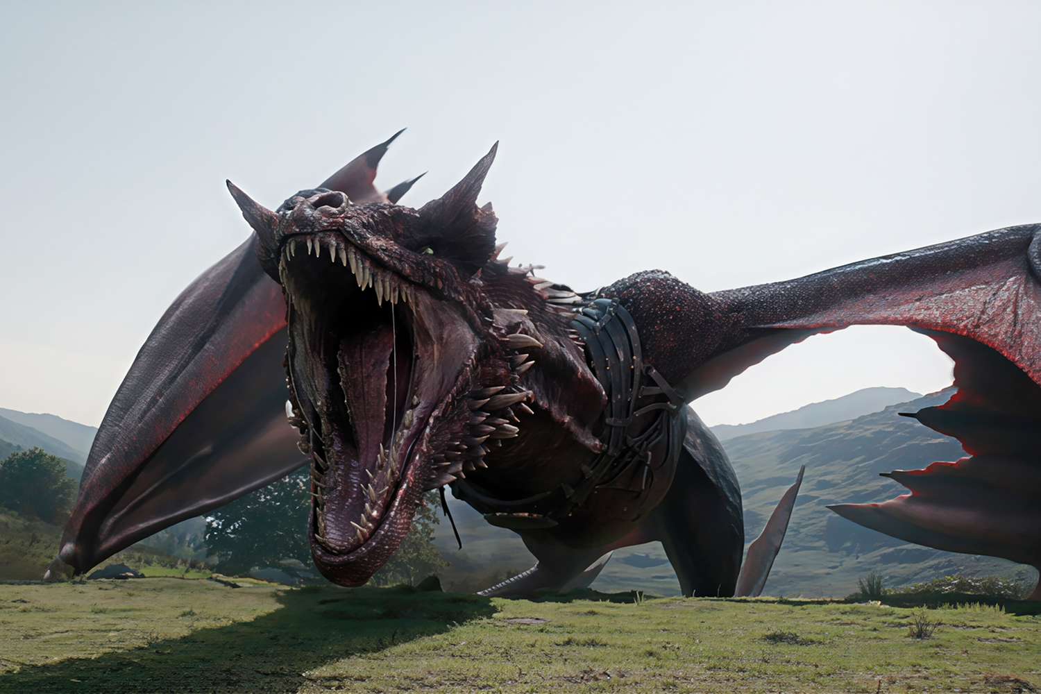 HOTD Season 3 dragon scene official HBO