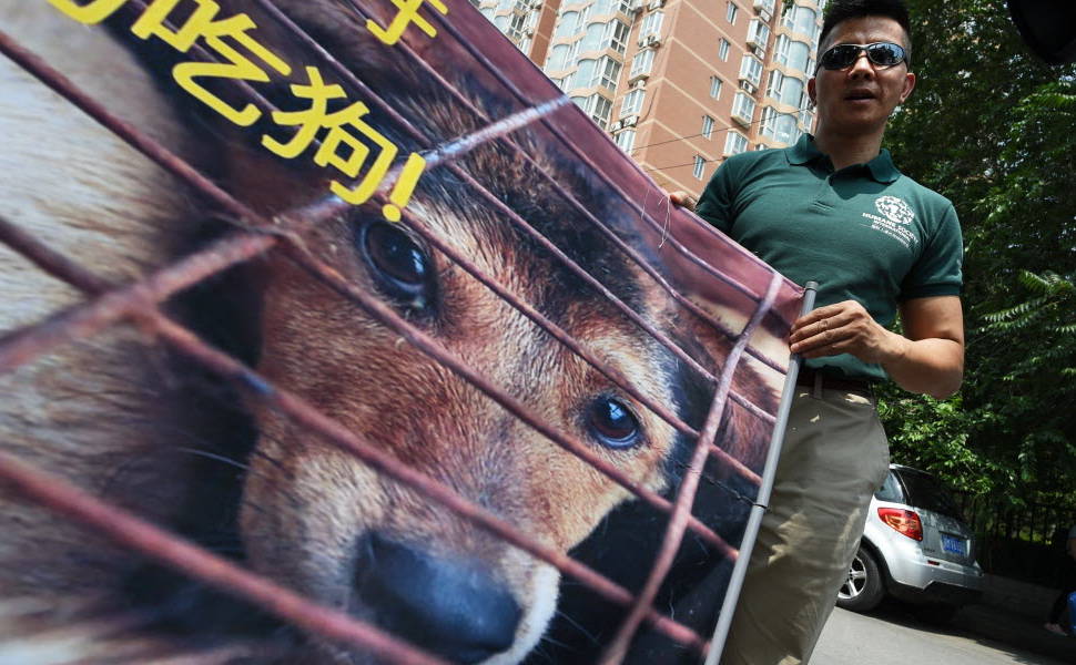 Ativista protestando contra o Festival de Yulin