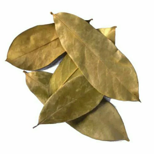 Soursop Leaf