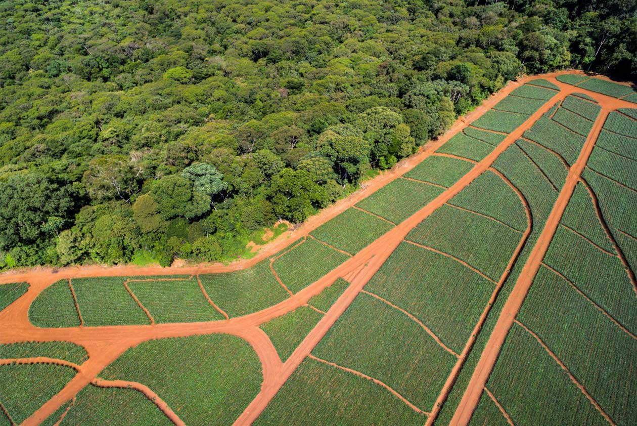 Aerial view of sustainable farm with irrigation systems