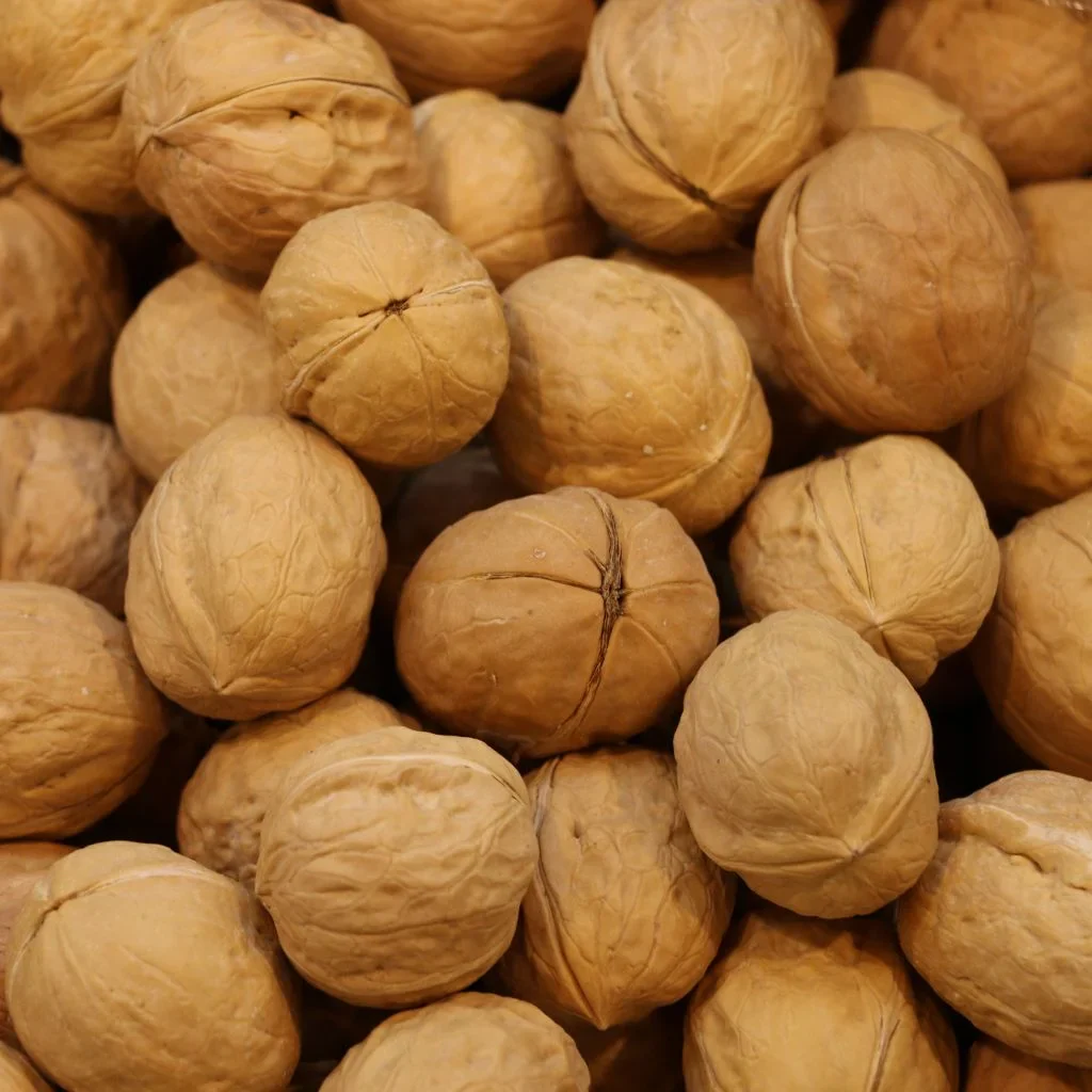 Organic Hunza walnuts with shell from Gilgit Baltistan