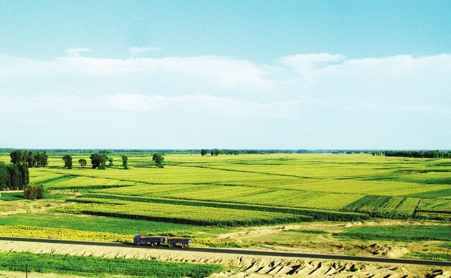 生态农业农田景观