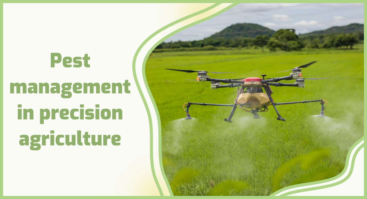 Drone agrícola aplicando defensivo de forma precisa em plantação verde