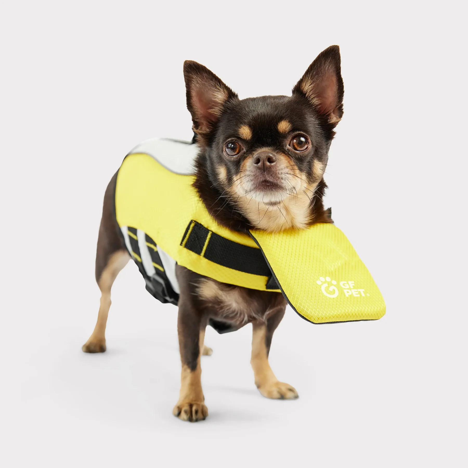 Ruffwear Float Coat Dog Life Jacket