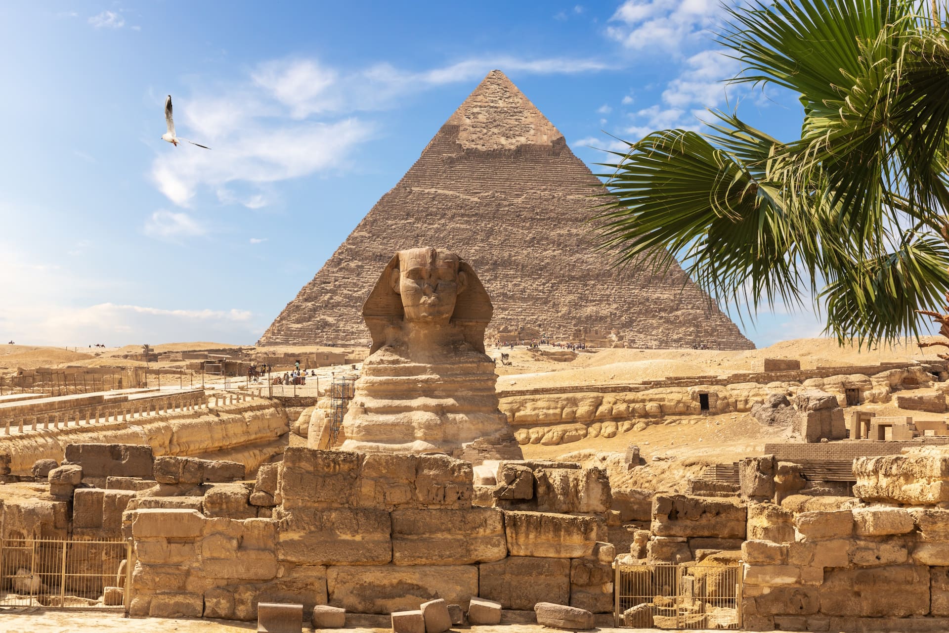 Egypt Trip Cost 2026 - Pyramids of Giza and Sphinx