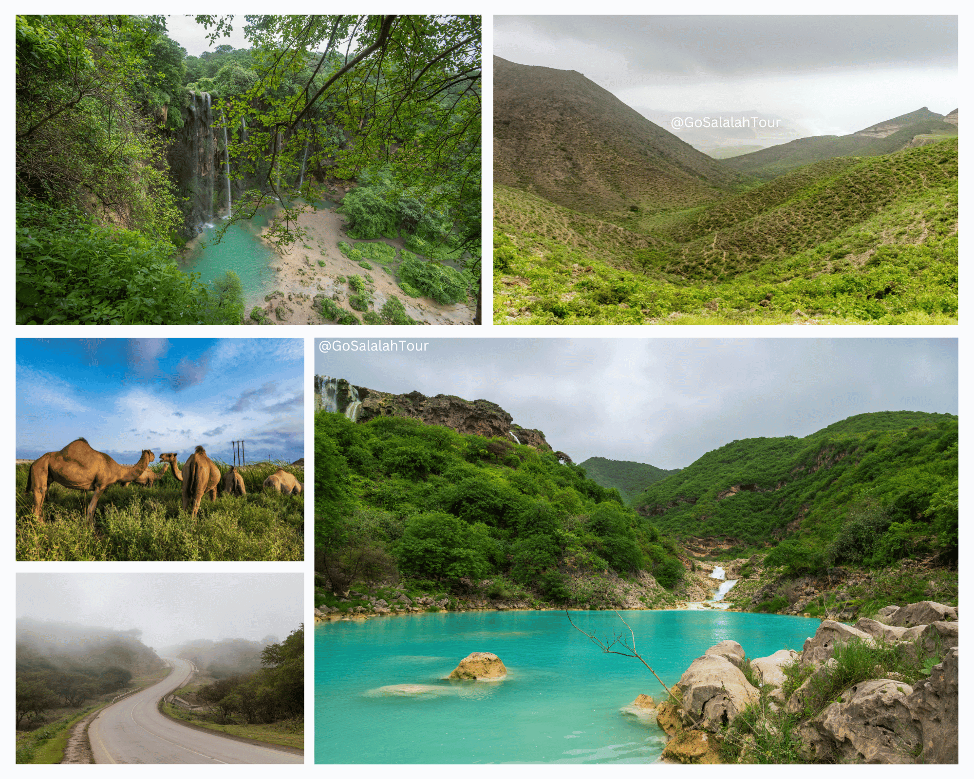 Salalah Khareef Season