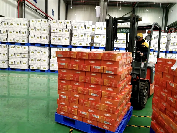 现代化冷链物流中心设施