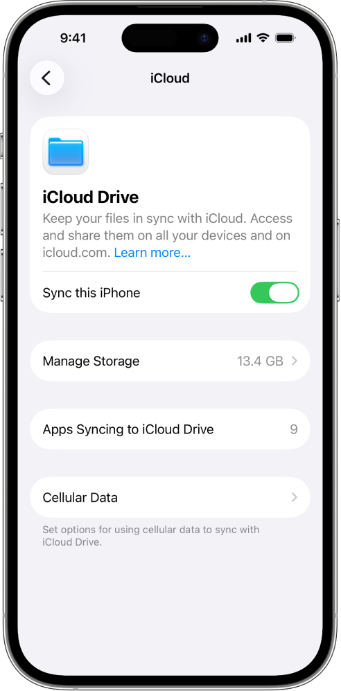 iPhone官方iCloud Drive设置界面,展示同步此iPhone开关、管理储存空间与应用同步数量等选项