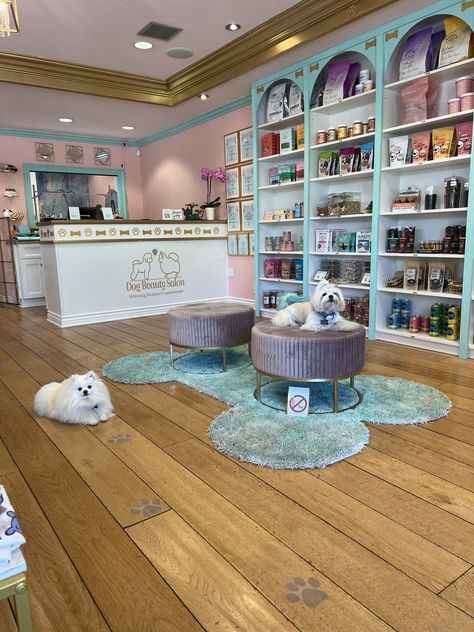 Pet salon interior