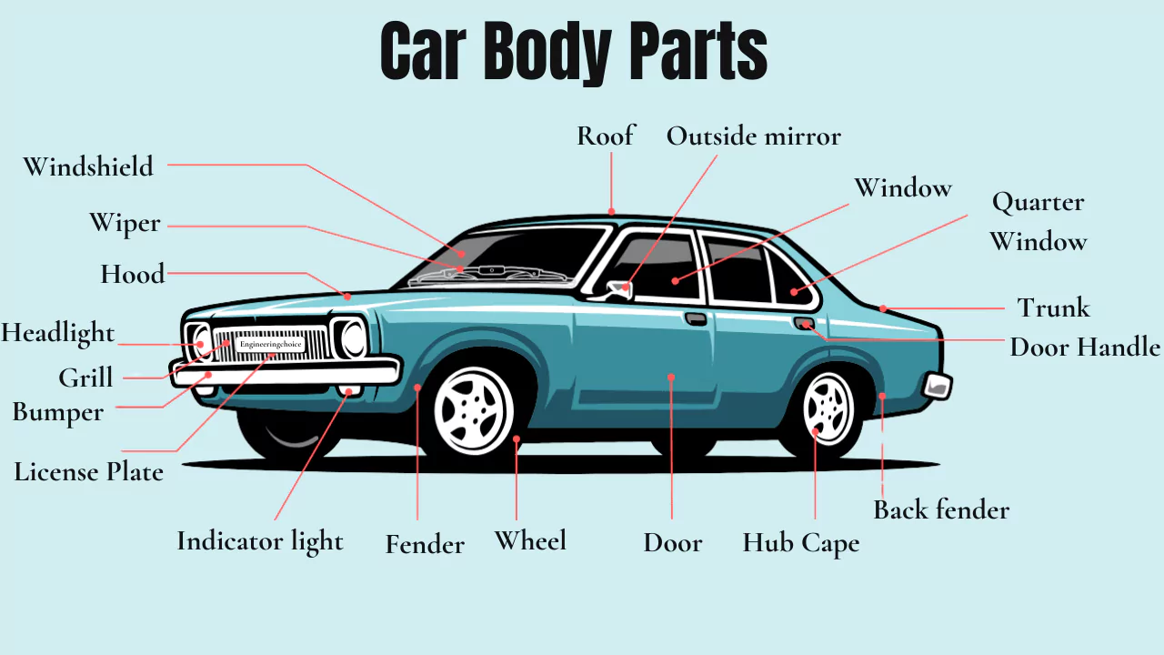 Body Parts