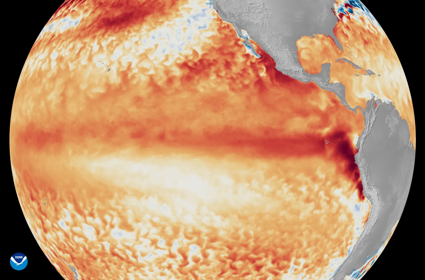 Imagem de satélite da NOAA mostrando anomalias de temperatura no Oceano Pacífico durante evento El Niño