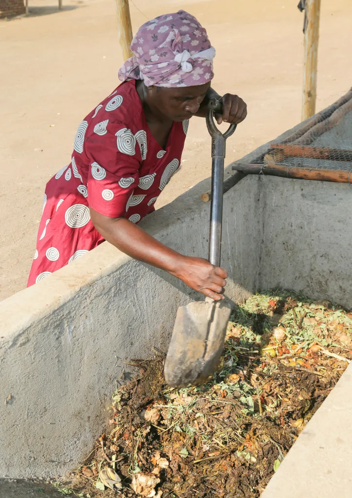 Proses budidaya maggot pada skala komunitas