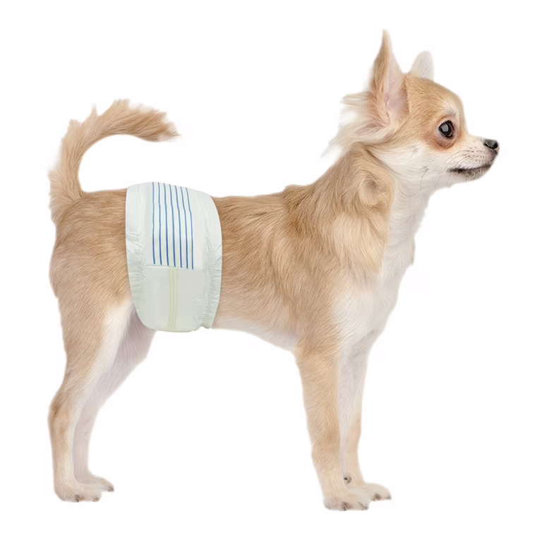 EzyDog Dog Seat Belt Car Restraint