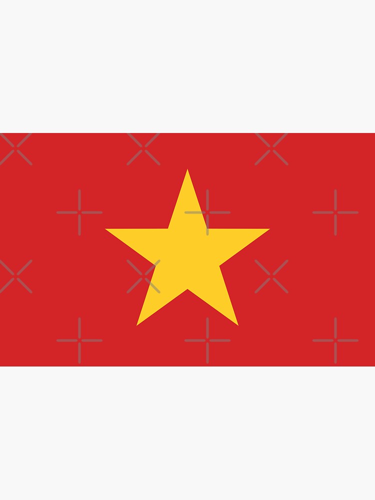Vietnam national flag
