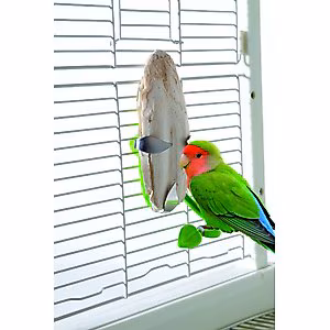 Caitec Featherland Cuttlebone Holder