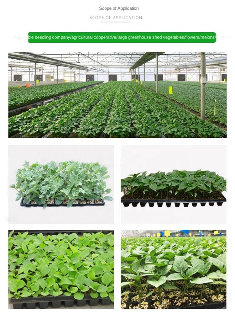 Pea shoots with delicate tendrils