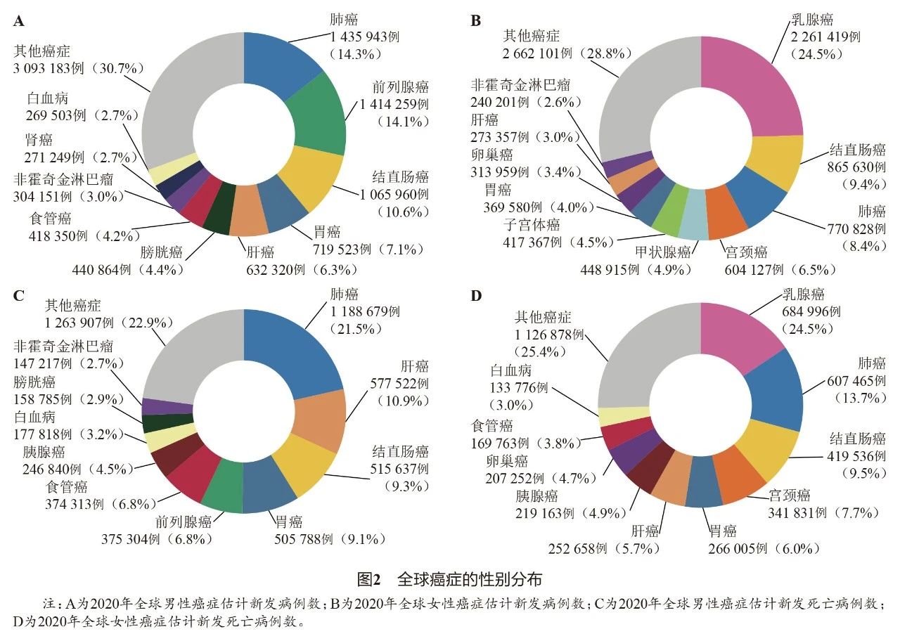 全球癌症指标数据可视化展示