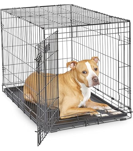 New World Pet Products Folding Metal Dog Crate, 42 Inch, Double Door