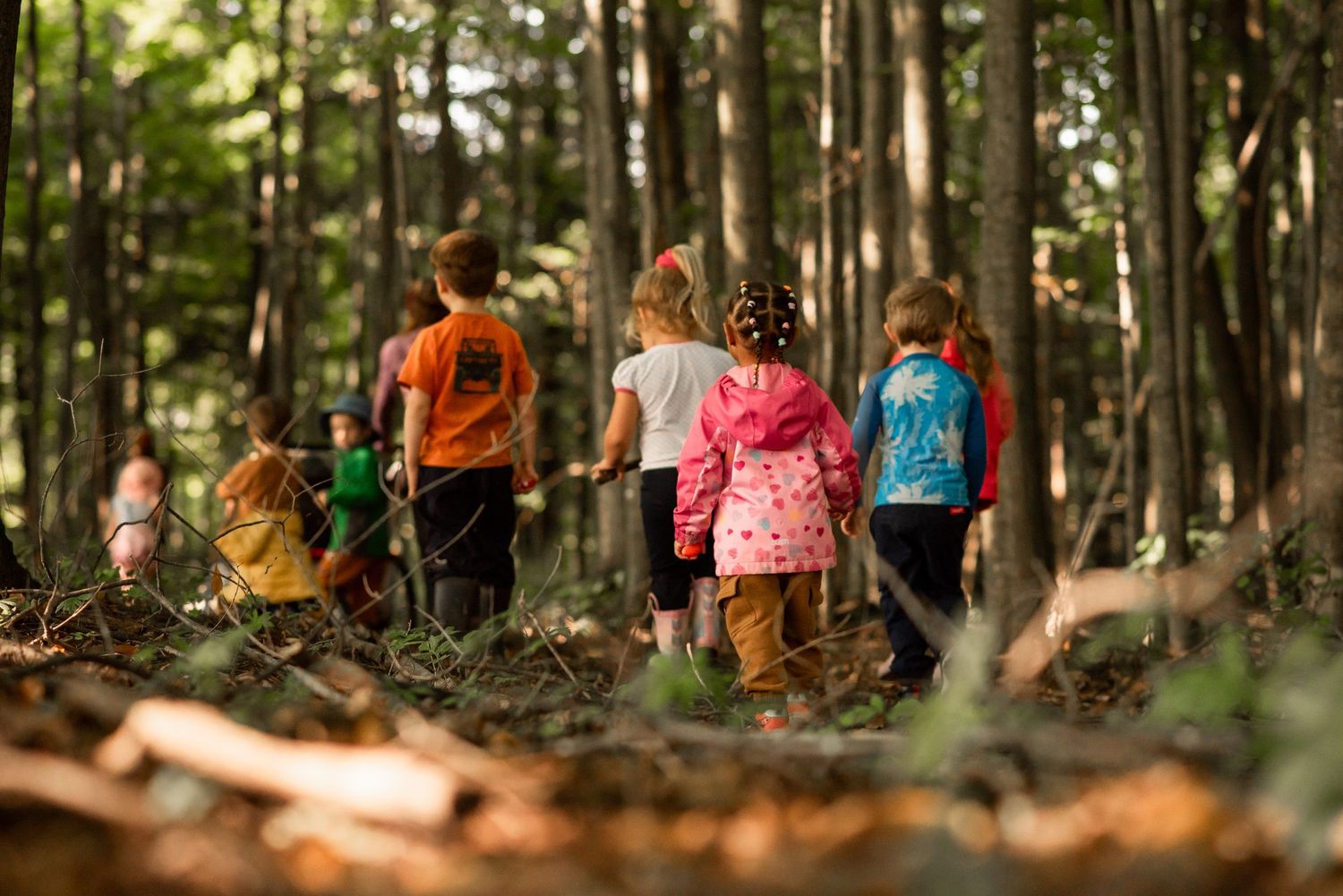 Forest school children