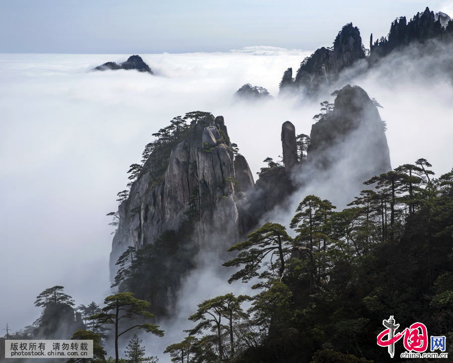 Huangshan Sea of Clouds Granite Peak Forest