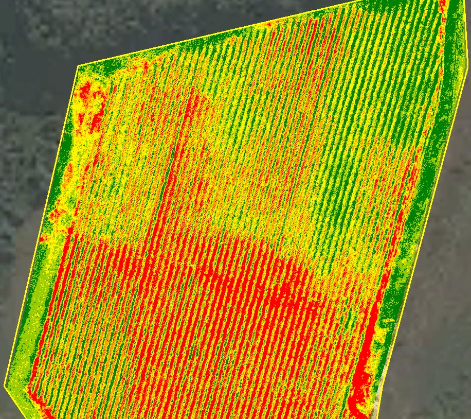 Drone Agriculture