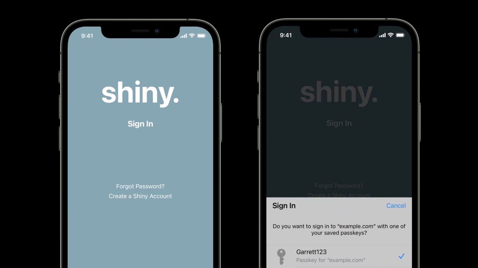 iPhone Passkeys生物识别登录界面展示通行密钥注册