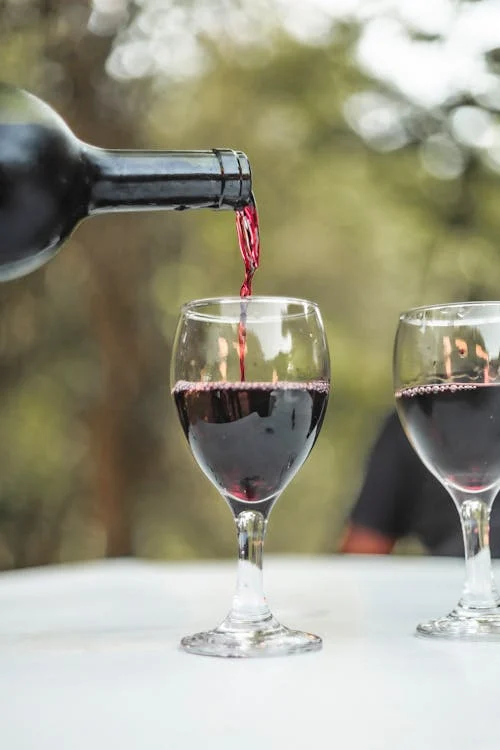 Вино и закуски