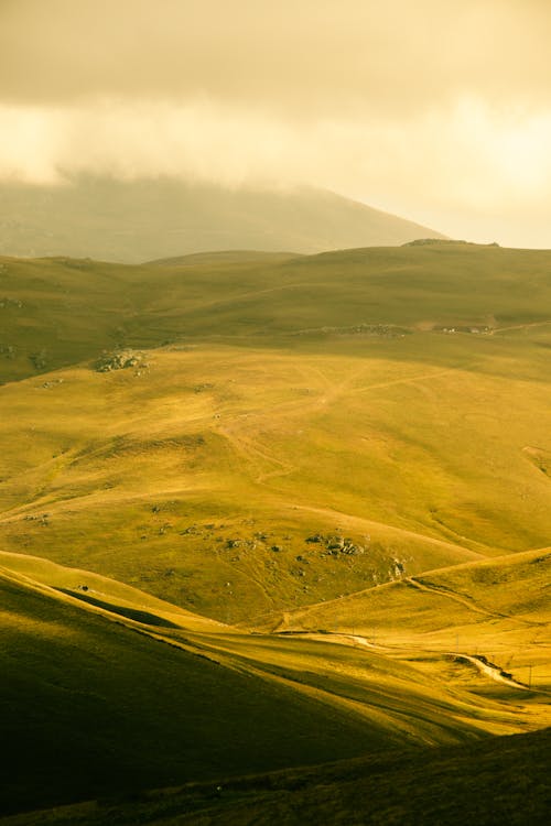 Golden Highland Plain Sunlit highland plains with gentle undulations and winding paths, where soft golden light creates dramatic shadows across the terrain, highlighting the subtle elevation changes of plateau topography.
