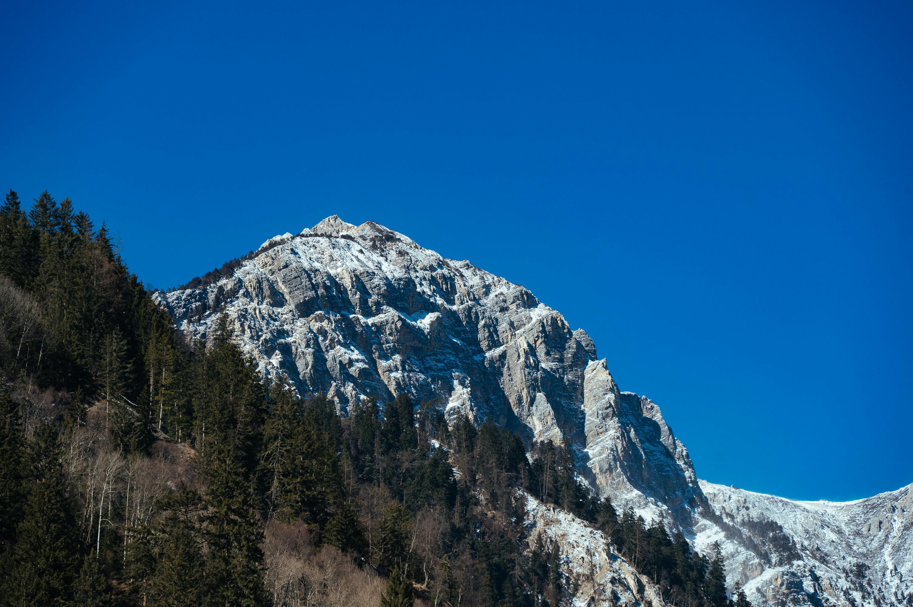 Alpine Snow Summit A stunning alpine mountain peak crowned with fresh snow, rising above a dense evergreen forest under a crystal clear blue sky, showcasing the pristine beauty of high-altitude wilderness.