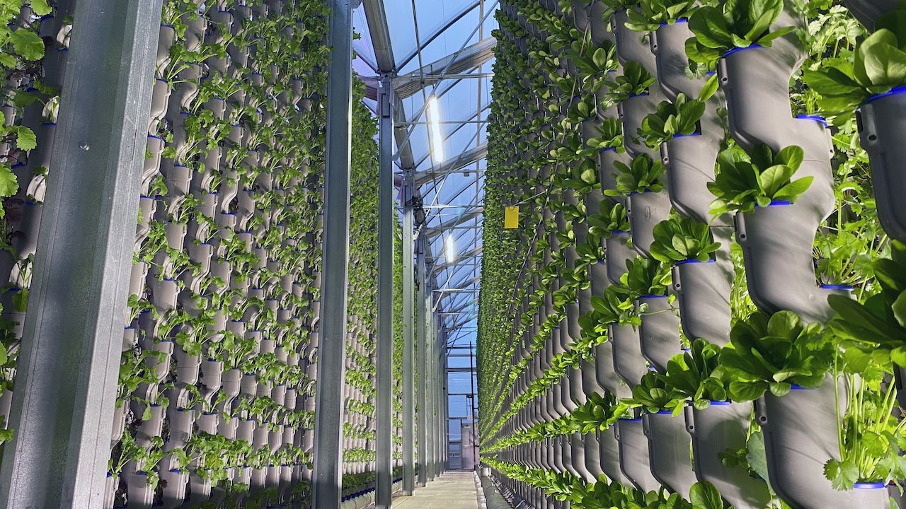 Hydroponic Solutions