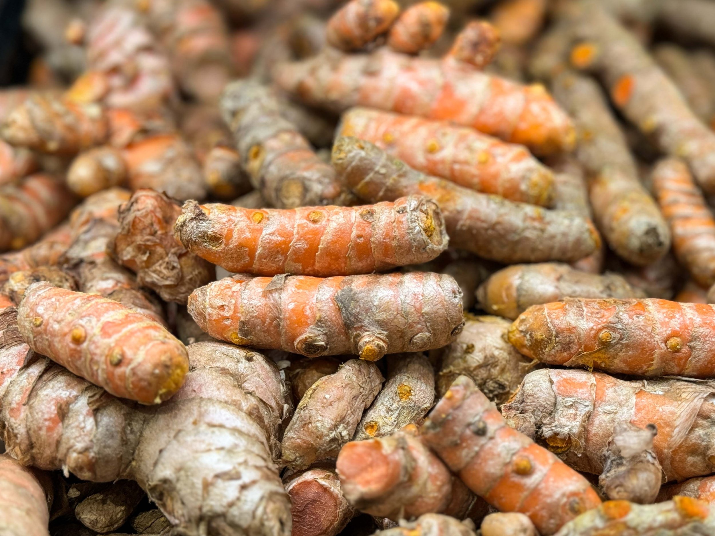 Turmeric