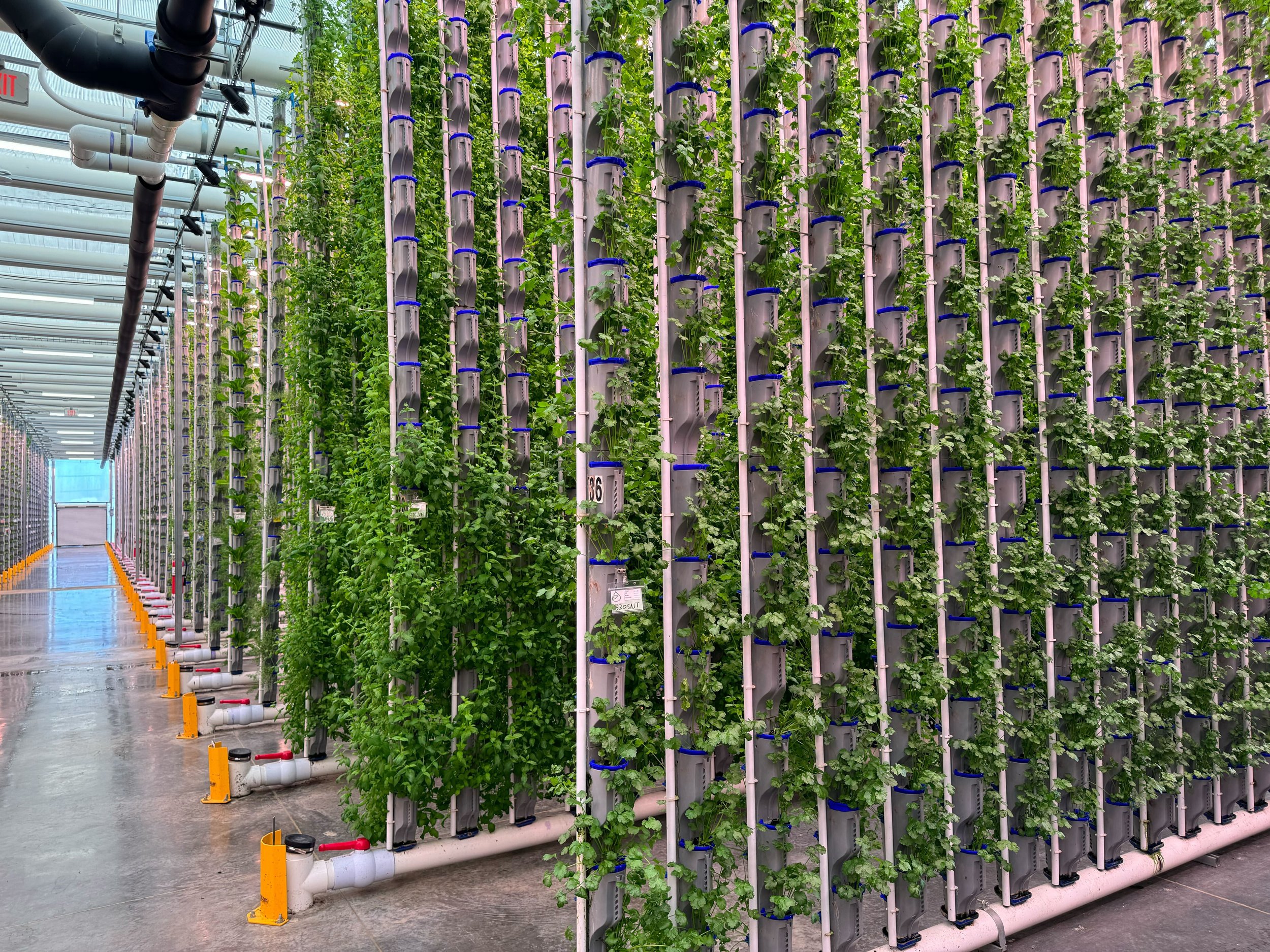Vertical farming controlled environment agriculture