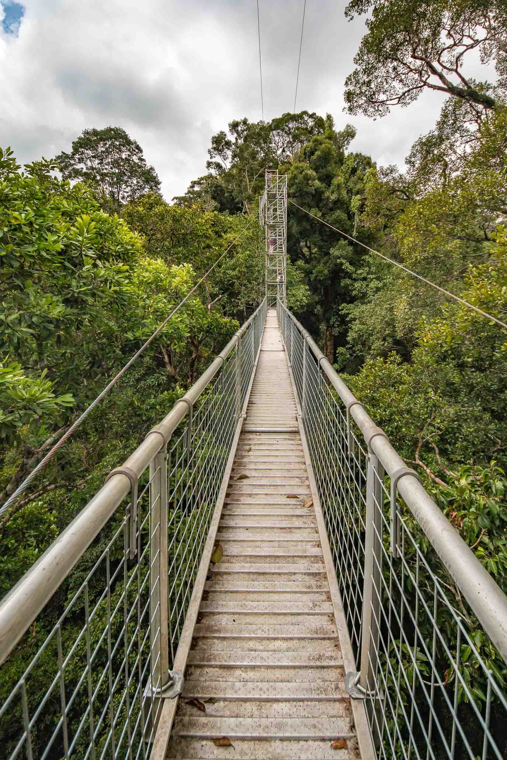 Canopy walkway in Ulu Temburong National Park