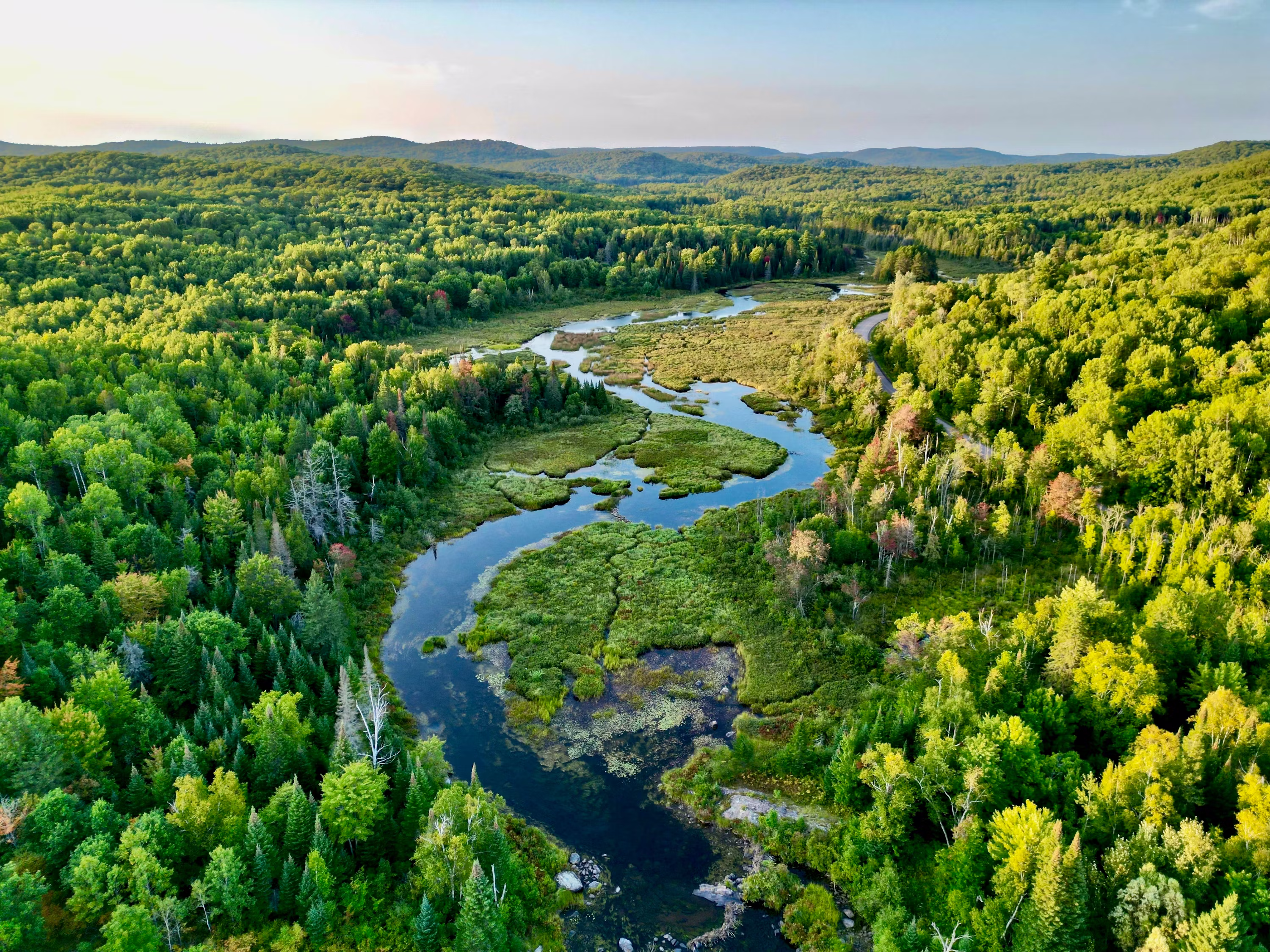 Winding Forest River