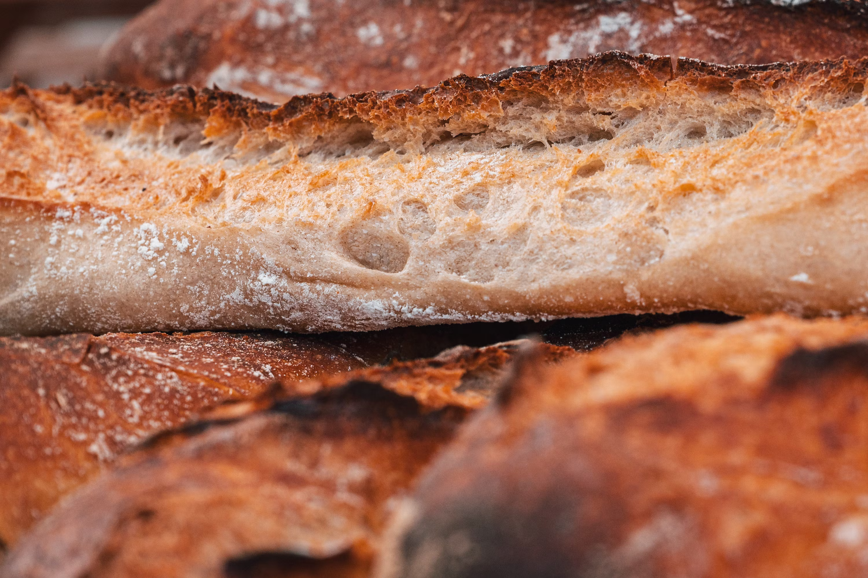 Close up of golden crispy sourdough bread crust texture bubbles