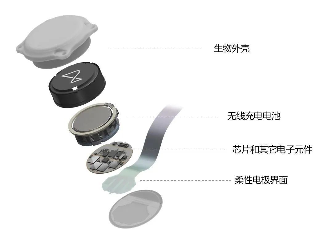 植入式脑机接口电极