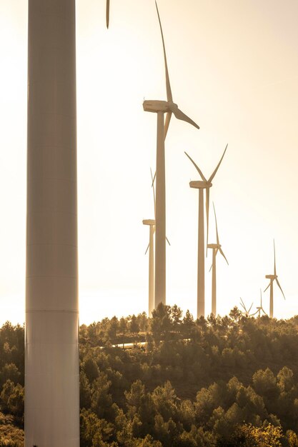 Mitos energía solar