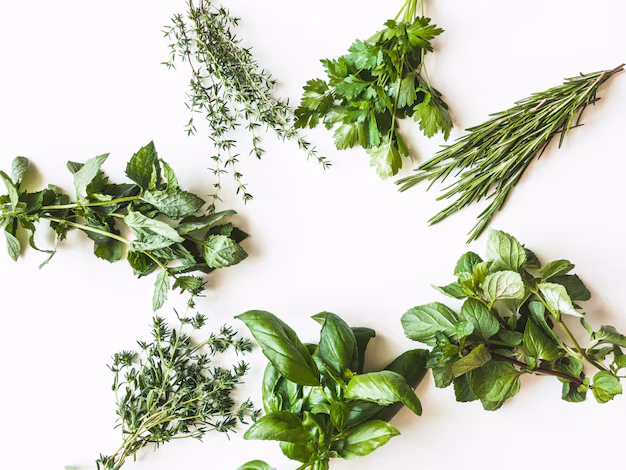 Flat lay of various fresh green kitchen herbs including basil, parsley, rosemary, thyme, and mint on white background