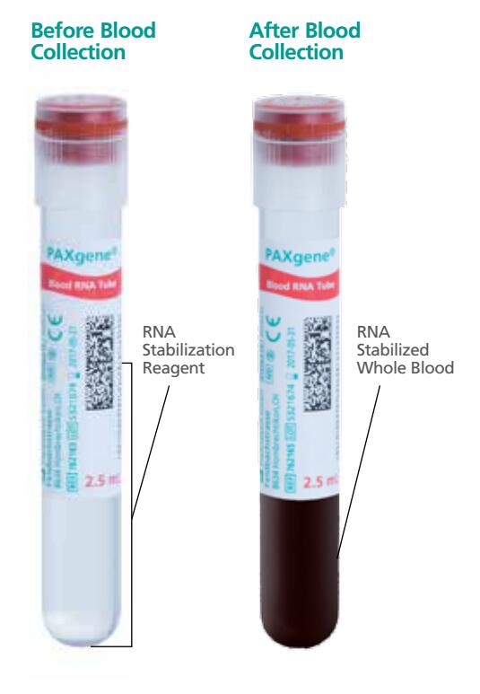 BD PAXgene Blood RNA Tube采血前后对比