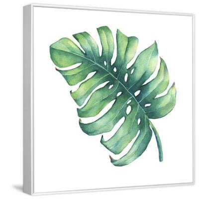 Monstera Watercolor
