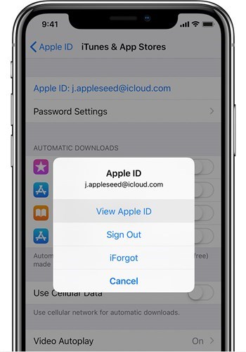 iPhone设置中Apple ID账户登出选项
