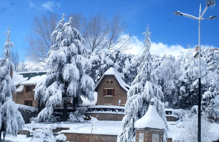 Chalets enneigés d'Ifrane avec cèdres couverts de blanc