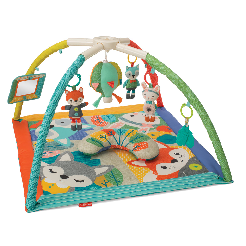VTech Sit-to-Stand Learning Walker