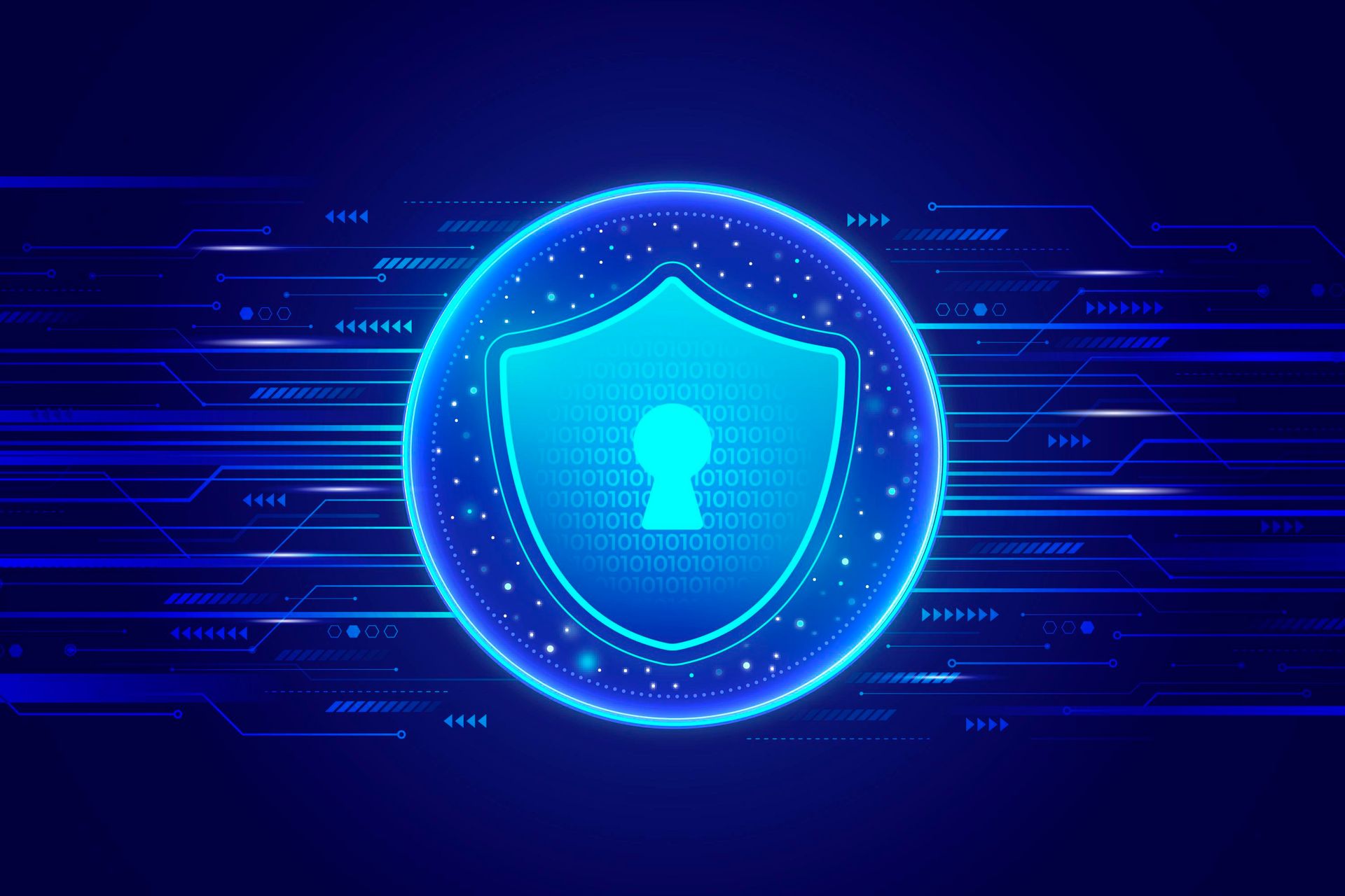 Web application security shield