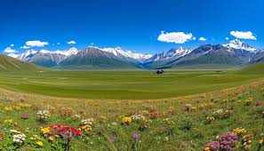 Hunza Family Tour with green Deosai plains and wildflowers mountain view