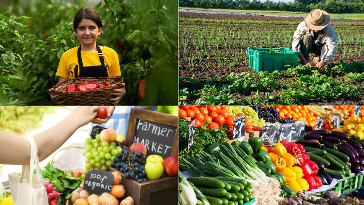 Marche agricole