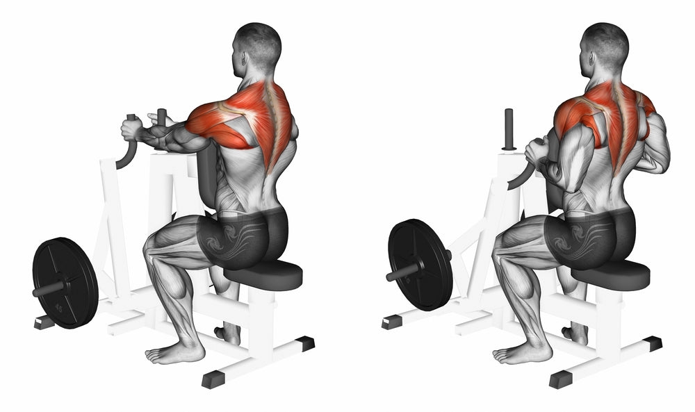 Person performing seated cable row exercise focusing on scapular retraction
