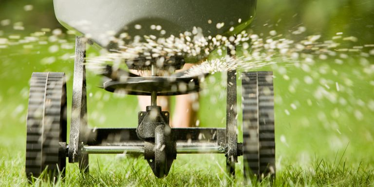 Lawn fertilization and aeration