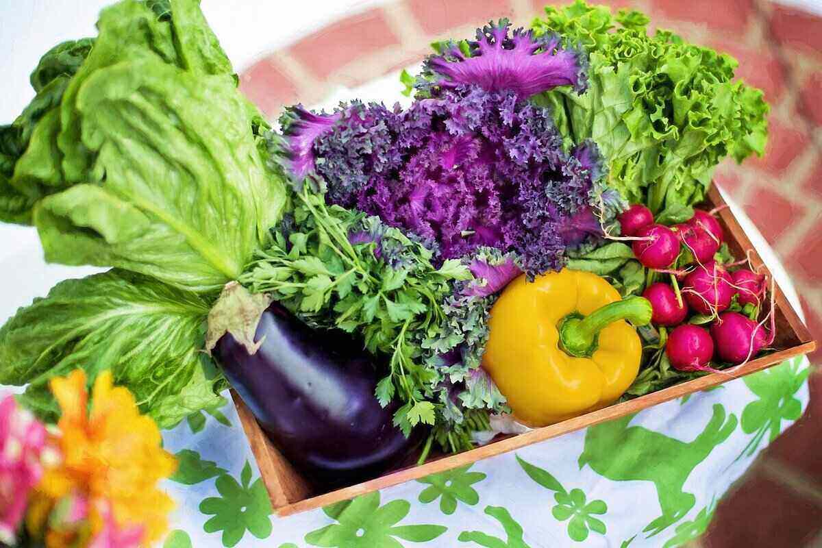 Colorful Vegetables to Grow in Your Garden