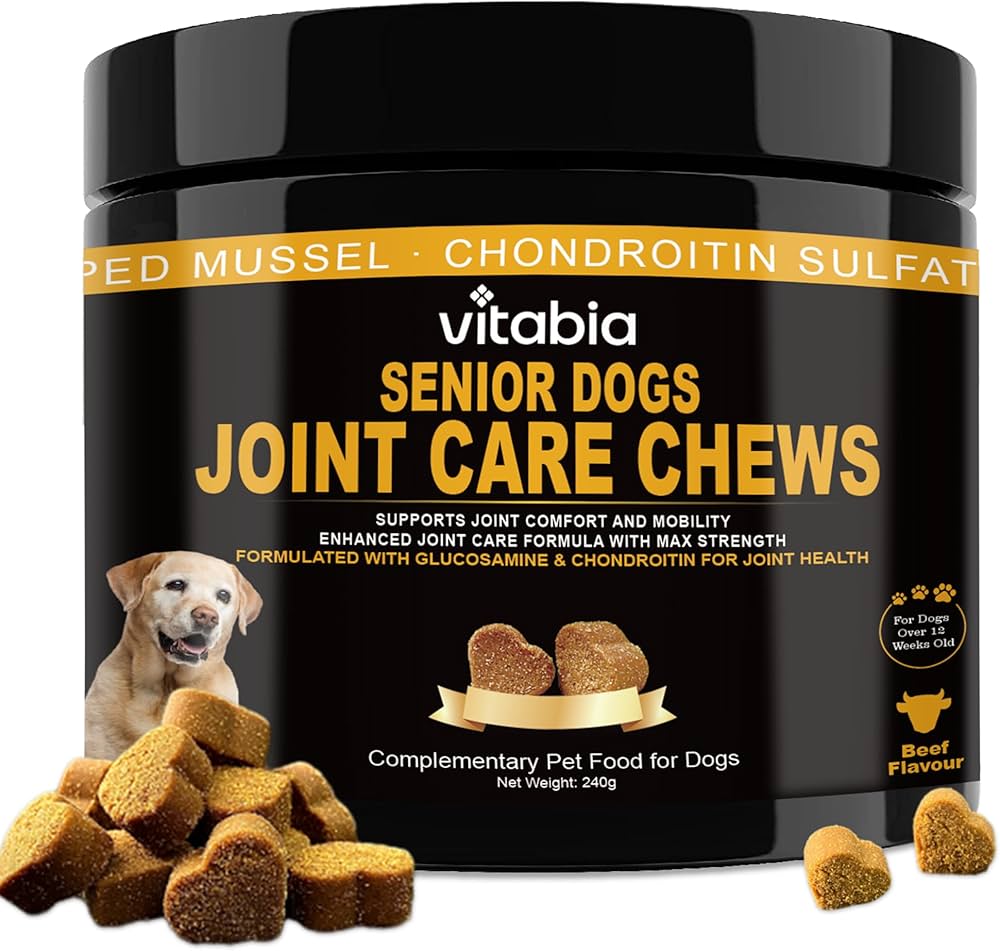 Suplementos para articulaciones de perros senior con glucosamina y condroitina